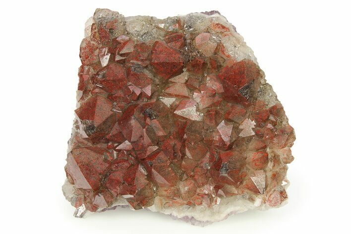 Thunder Bay Amethyst Cluster with Hematite - Canada #281237